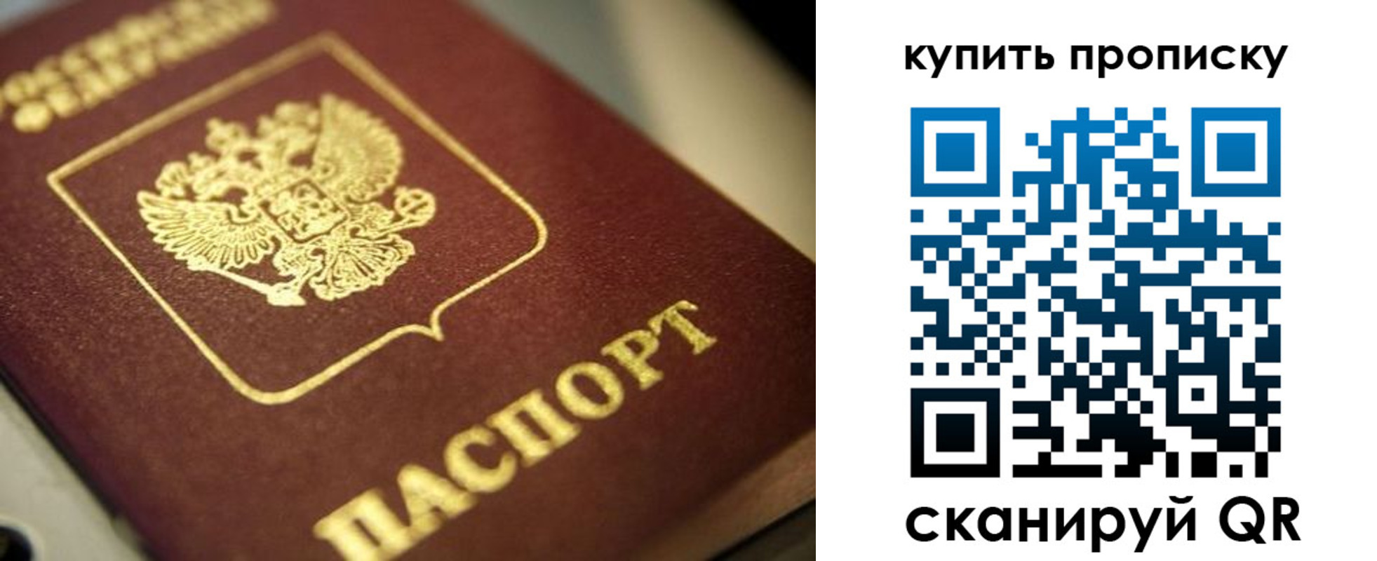 прописка поиск в Кусе
